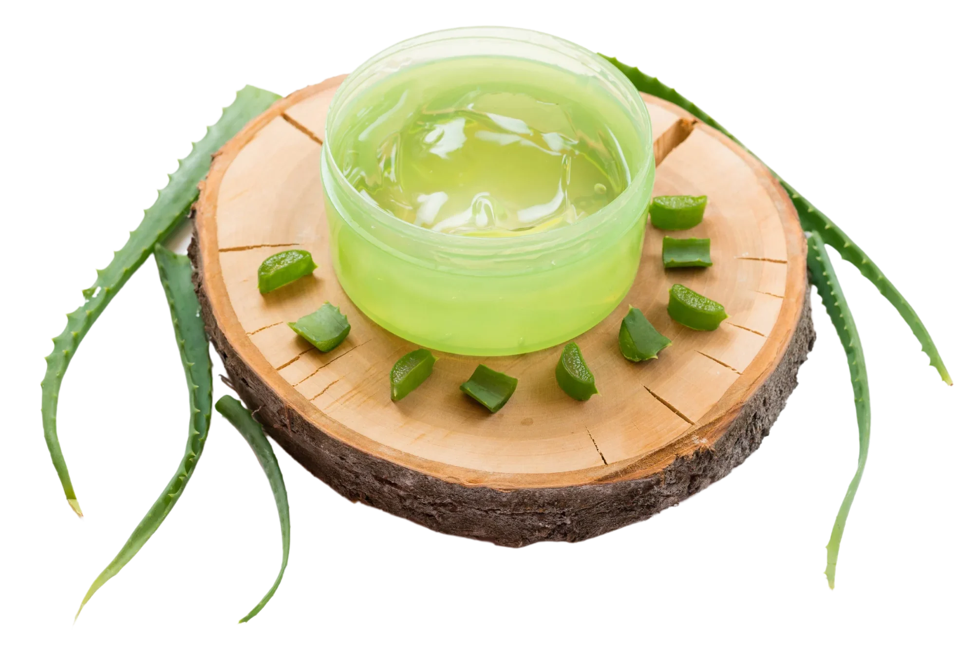 dentystka Kate i Aloe Vera, zdrowie i profilaktyka zębów - Forever + dentaloe